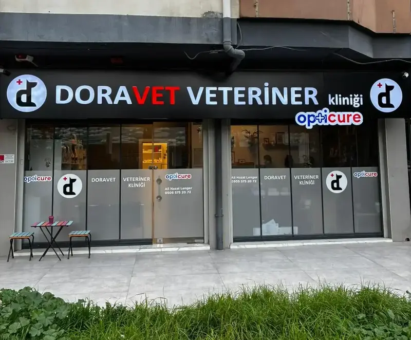 doravet-klinik