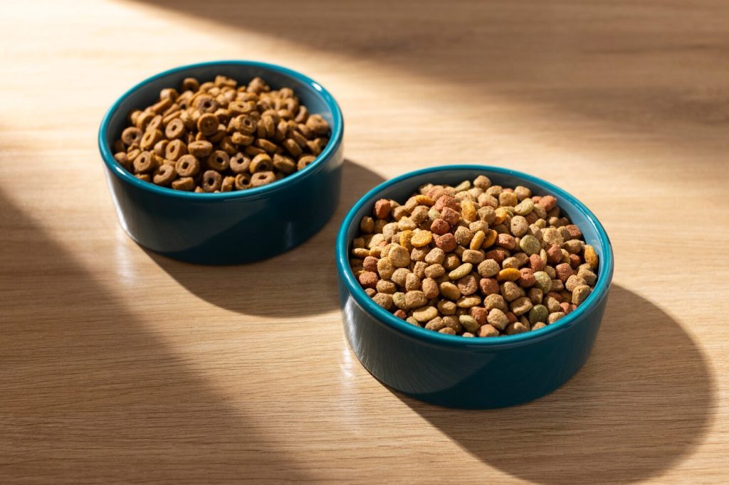 kedi ve köpeklerde doğru mama tercihi
